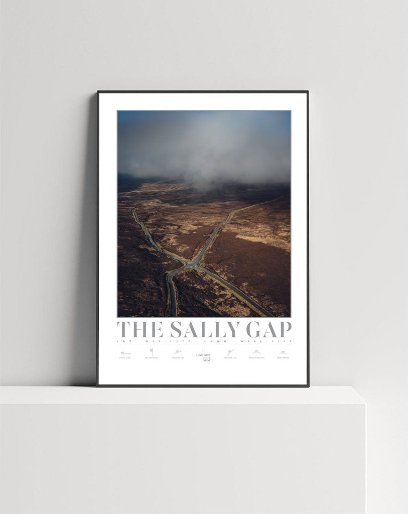 THE SALLY GAP CO WICKLOW
